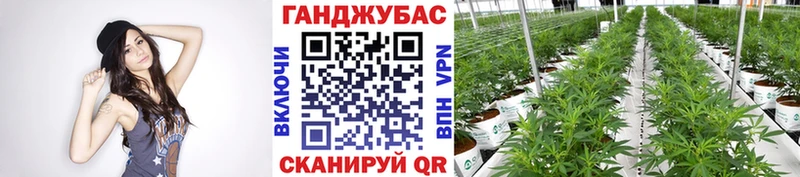 Купить закладку COCAIN  Лсд 25  Конопля  АМФЕТАМИН  МЕФ  СОЛЬ  Старая Русса