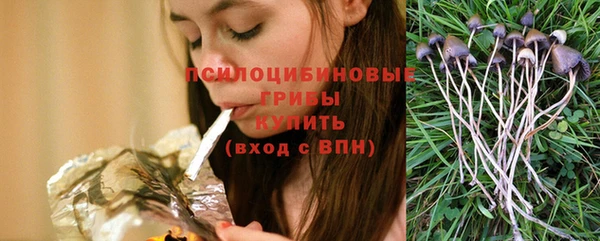 гашик Володарск
