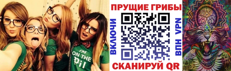 Купить закладки  Старая Русса  Псилоцибиновые грибы Psilocybine cubensis 